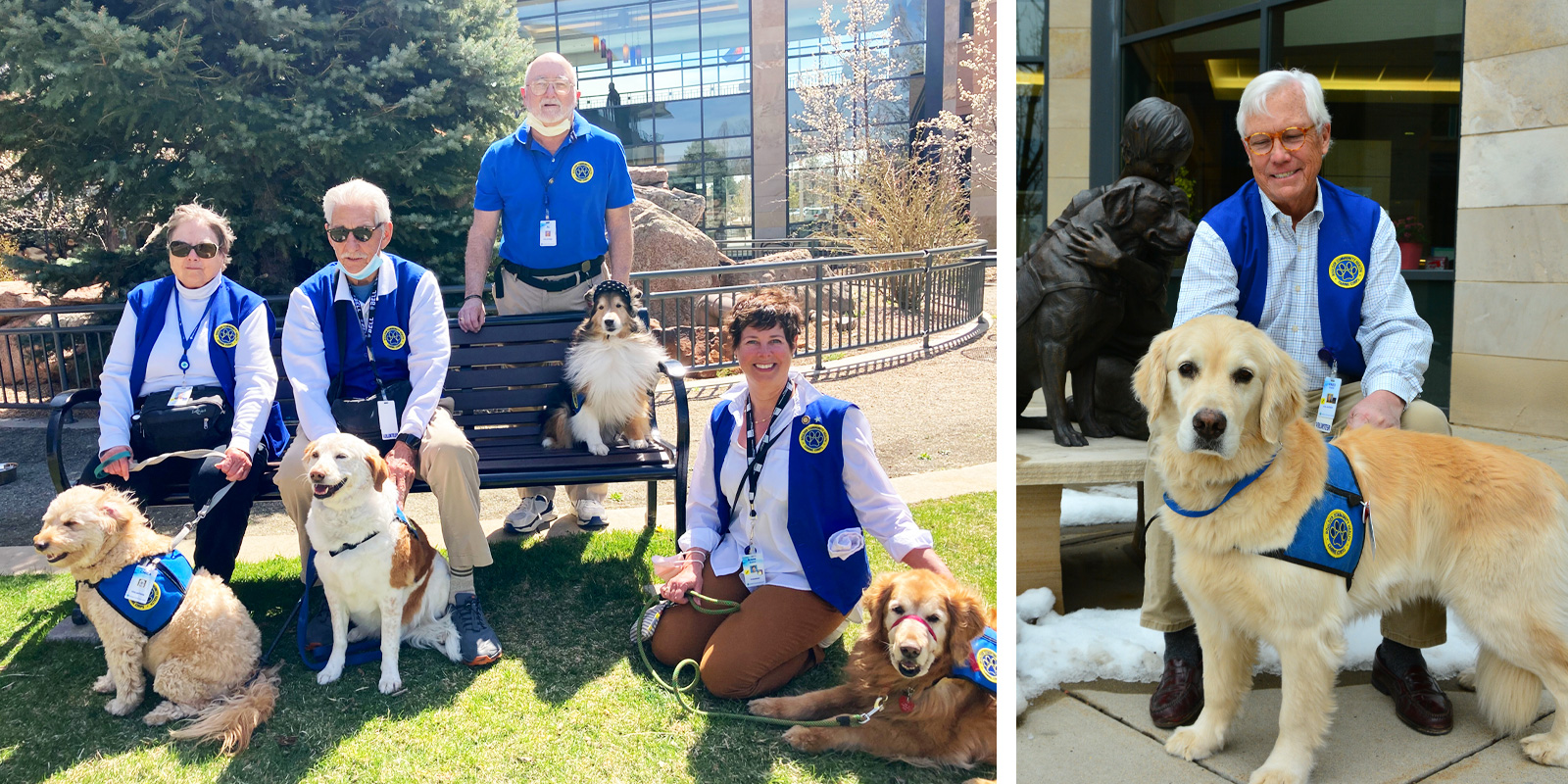 are service dogs allowed in churches